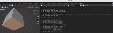 Blender Python Get Selected Vertices