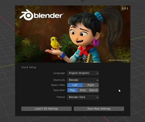 Blender Quick Setup