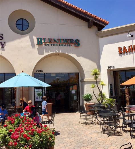 Blenders In The Grass In Oxnard