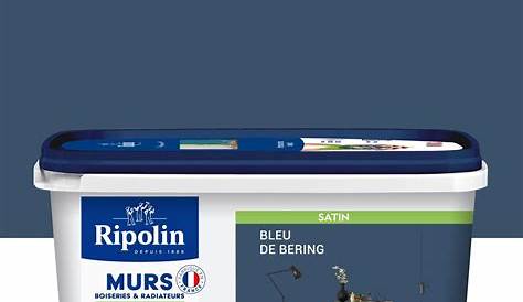 Bleu De Bering Ripolin Testeur Peinture Béring Satin RIPOLIN Murs Et