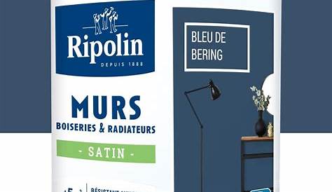 Bleu De Bering Testeur Peinture RIPOLIN Esprit Déco Béring 75Ml