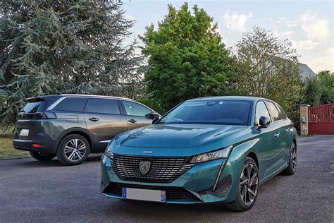 three blue avatars with dreadlocks on their heads, one is staring at