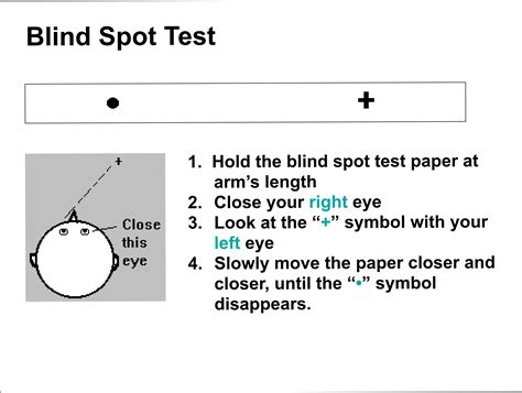 blind spot in the field of vision