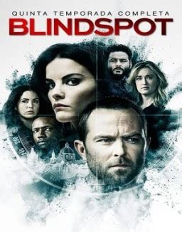 blindspot online gratis castellano