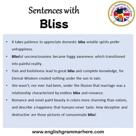 bliss meaning in tamil with example sentence