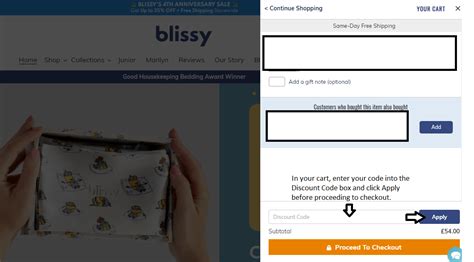 Blissy Discount Code