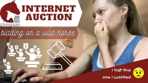 blm internet adoption