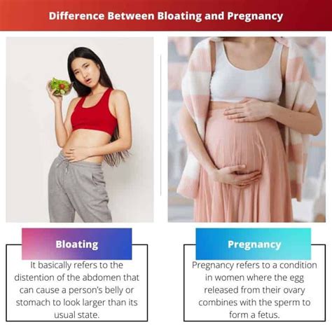 Saying Goodbye to Discomfort: Understanding and Managing Bloating and Pregnancy Symptoms