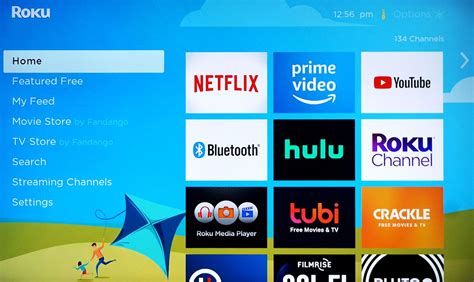 Block Apps Roku