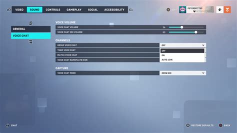 Block Chat Overwatch