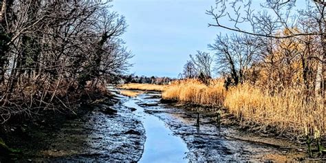 block joshua onlyfans