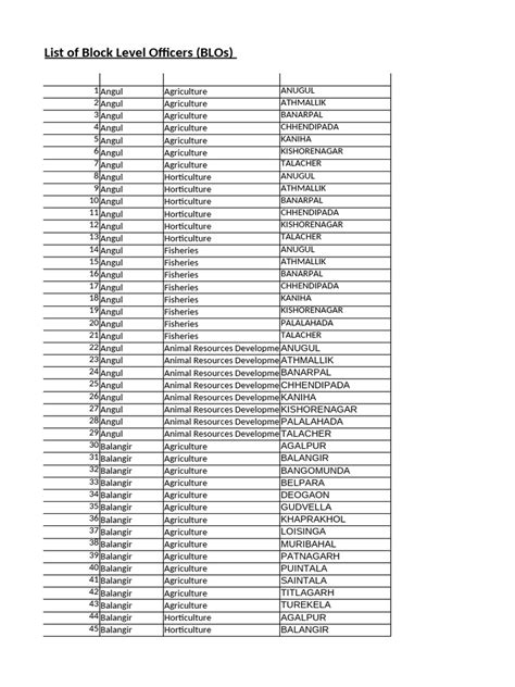 5 Ways Block Level Officers Work