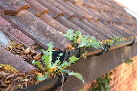Blocked Gutters Cleaning