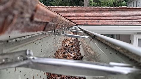 blocked-gutter-debris