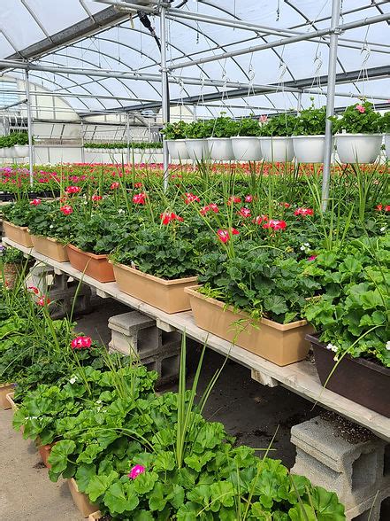 Blocks Greenhouse Romulus