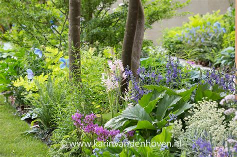 Bloemen Schaduwborder