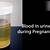 blood in urine early pregnancy symptoms