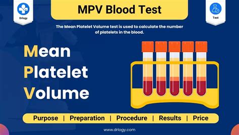 Understanding Blood Analysis MPV: A Key to Healthy Insights