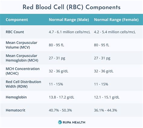 Unlocking Health Secrets: Understanding Your Blood CBC Differential Results