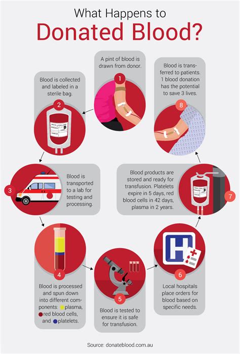 blood donation facts