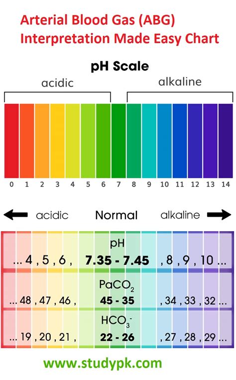 Blood Gas Analysis Level
