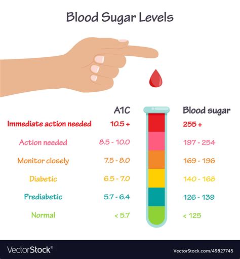 Understanding Your Blood Glucose Normal Range: What You Need to Know