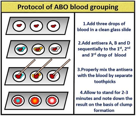 blood grouping slide method principle