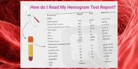 Unlock the Secrets of Your Blood: What a Hemogram Test Can Reveal About Your Health