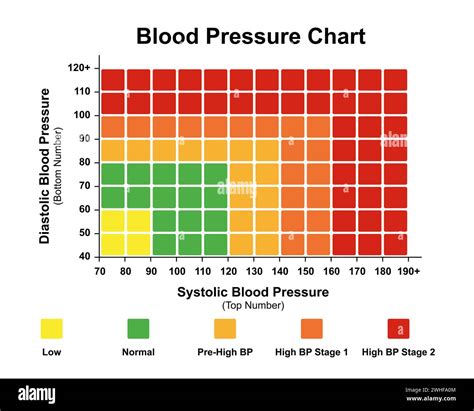 Understanding Your Blood Pressure Chart: A Guide to Healthy Ranges and Risks
