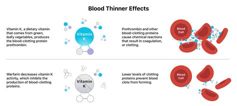 Blood Thinners Do