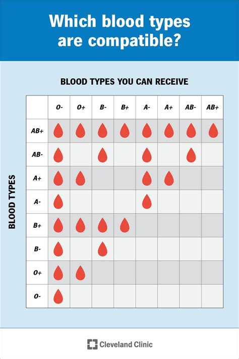 Unlock the Secrets of Blood Type A: What Your Blood Reveals About Your Health and Personality