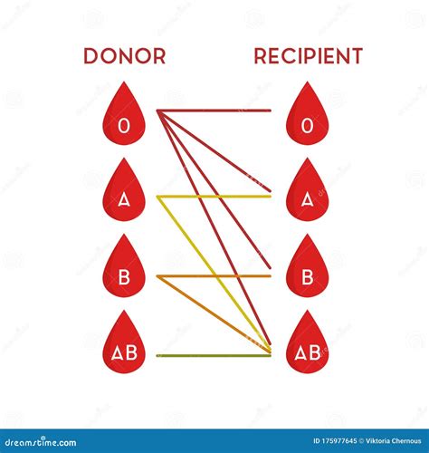 blood types and transfusions