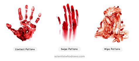 Seeing Blood When I Wipe: Causes and Concerns Explained