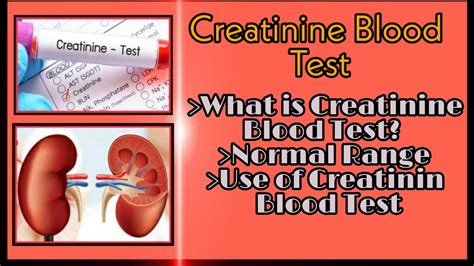 Understanding Blood Work Creatinine Levels: A Health Guide