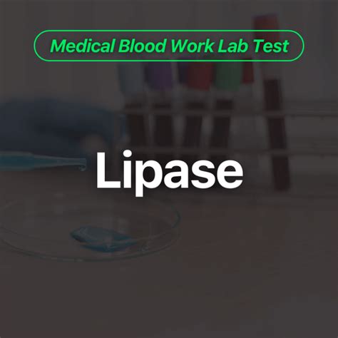 Understanding Blood Work Lipase: Pancreatitis Diagnosis Explained