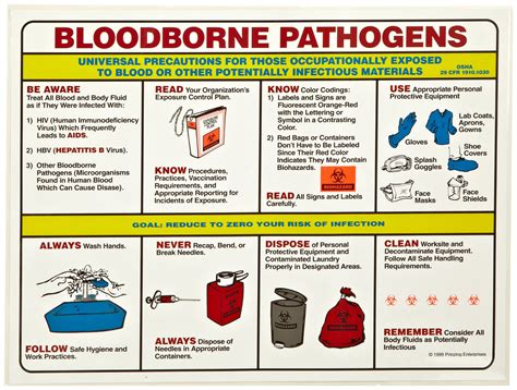 Bloodborne pathogens revised