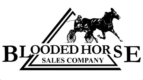 blooded horse sale 2023