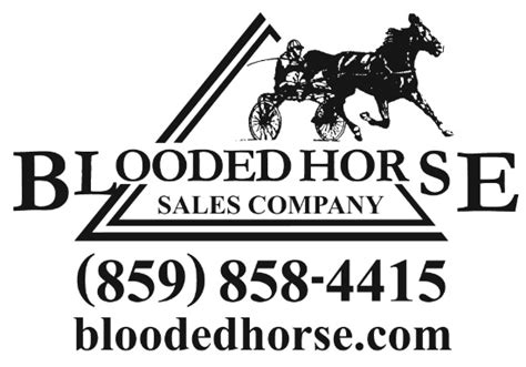 blooded horse sale catalog