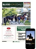 bloodhorse daily news sales