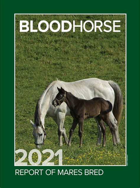 bloodhorse news