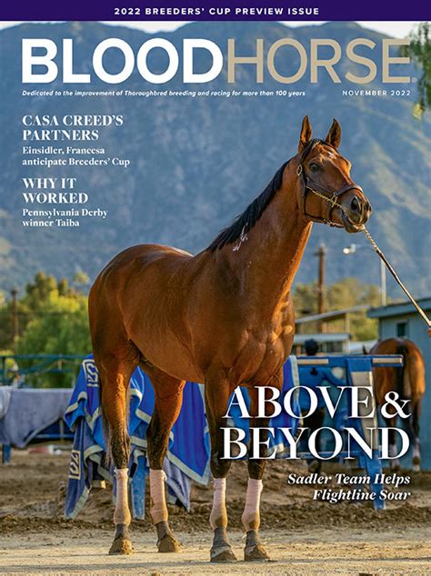 bloodhorse news magazine