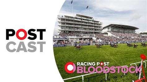bloodstock news uk horse racing