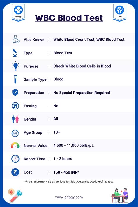 Understanding Elevated Bloodwork WBC High: Causes, Concerns, and Next Steps