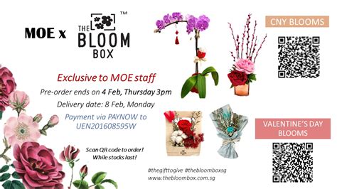Bloom Box Promotion Code