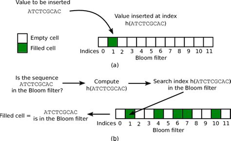 bloom filter function