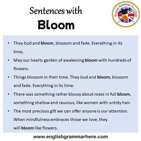 bloom in sentence examples