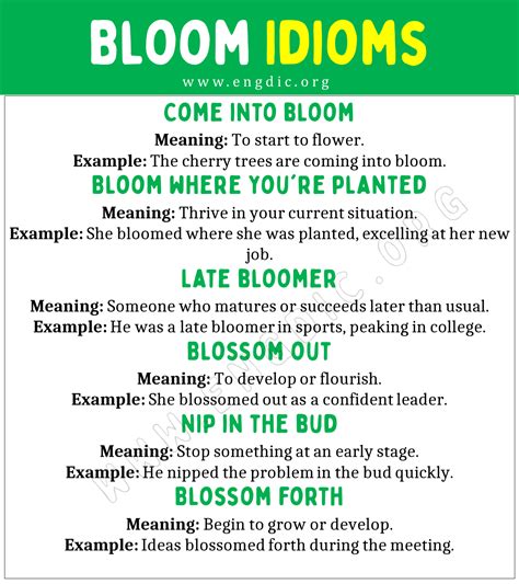 bloom meaning in tamil with example