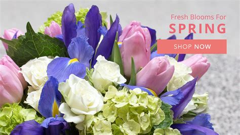 Bloomer Wi Flower Shops