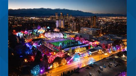 Blossom Of Lights Denver Promo Code