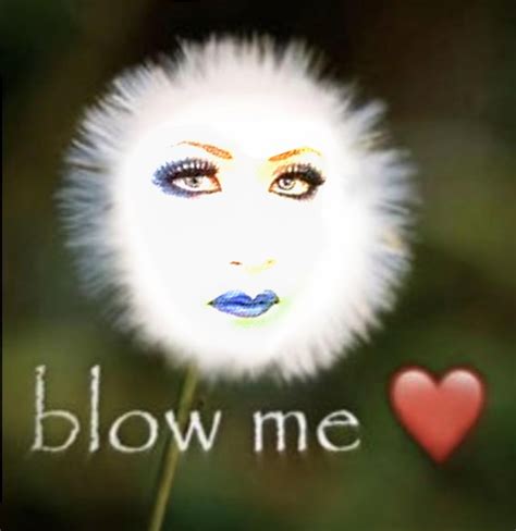 blow me 7